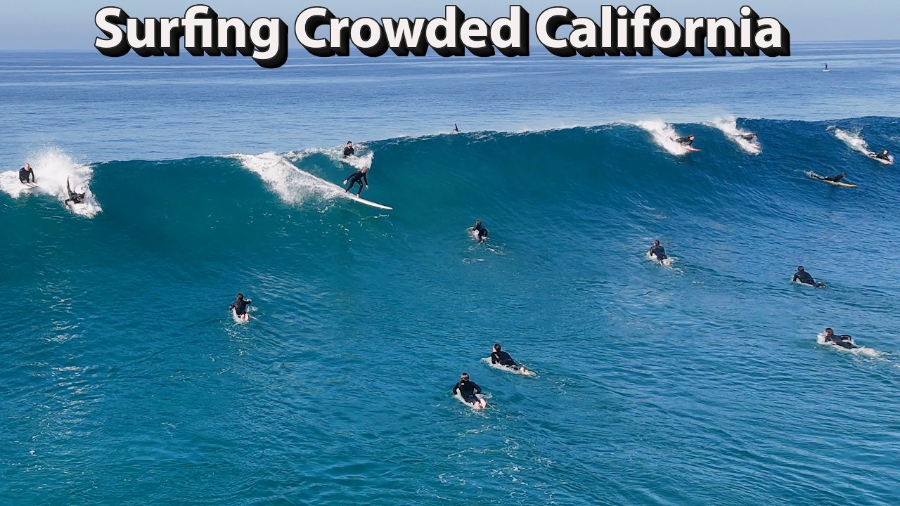 WAVES of the WEEK SAN DIEGO