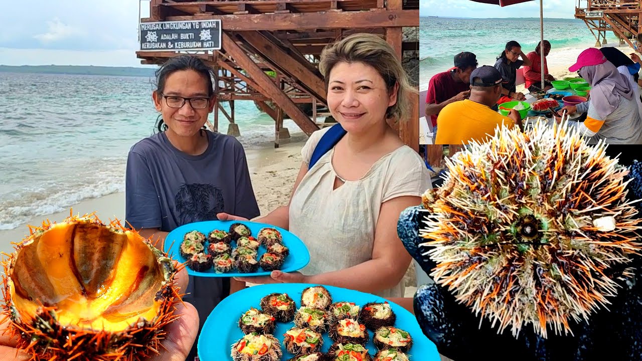 jauh datang dari Eropa ke pulau Buton, bule dimasakkan Bulu Babi dan Kerang  hasil buruan 🥰