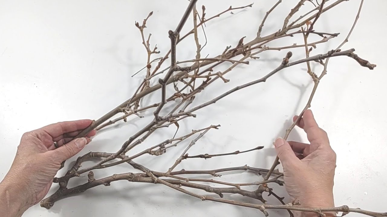 IDEA con RAMAS #manualidades #diy #reciclaje #arteencasa #artesanato
