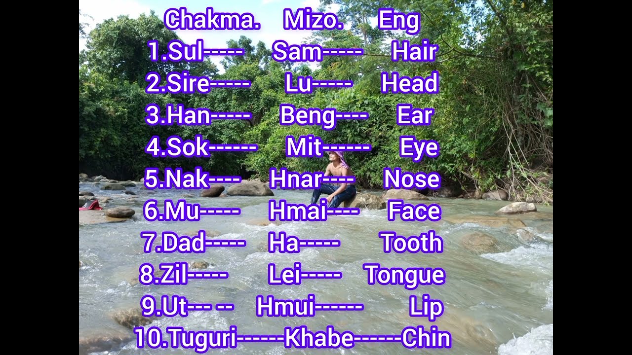Chakma -Mizo- English translated 16.9🥰🥰 Parth of human body 👅 👁️