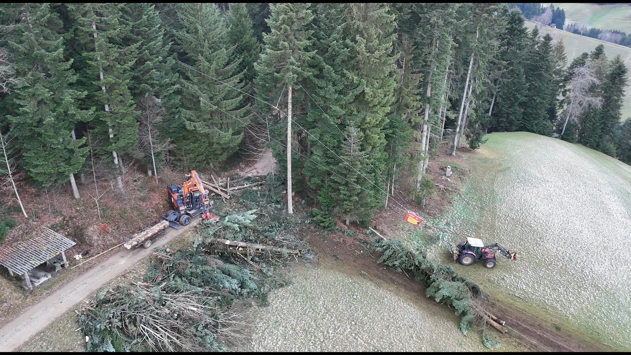 Spezial Holzschlag im steilen Gelände mit Forstseilbahn, Bagger mit Prozessor und Manpower 🇨🇭🌲🪓
