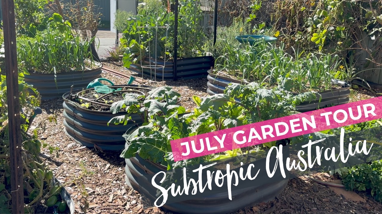 July Subtropical Australian Garden Tour - Late winter