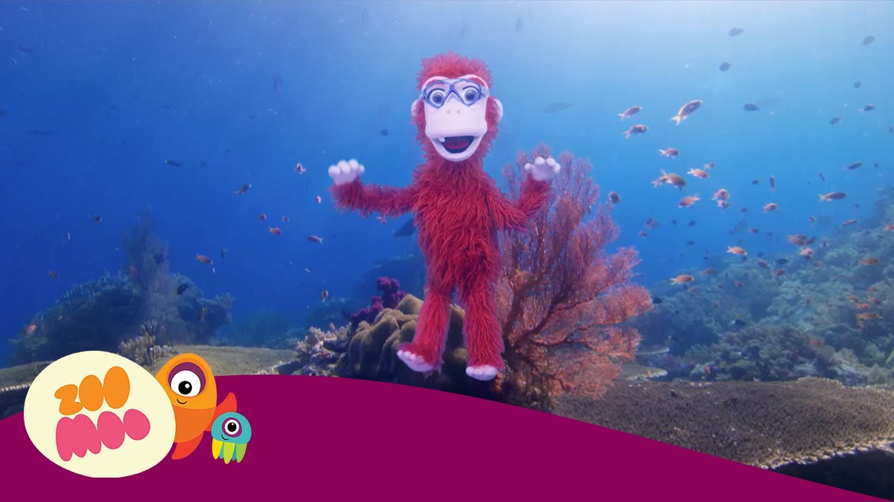 The Fish Washers | Bath Time | Animal Fun Facts for Kids