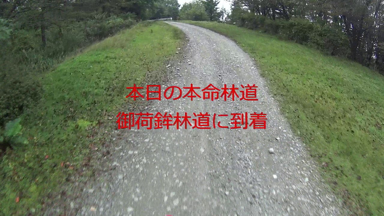 2019年秋の御荷鉾林道