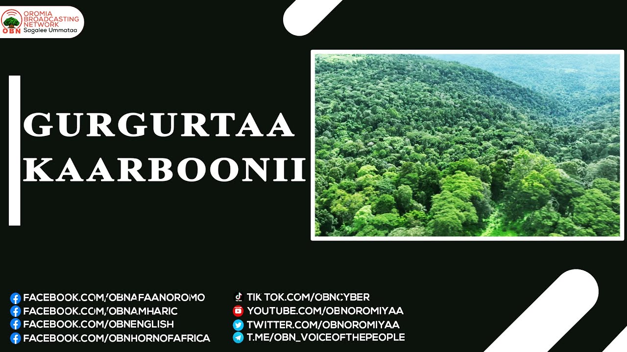 Gurgurtaa Kaarboonii