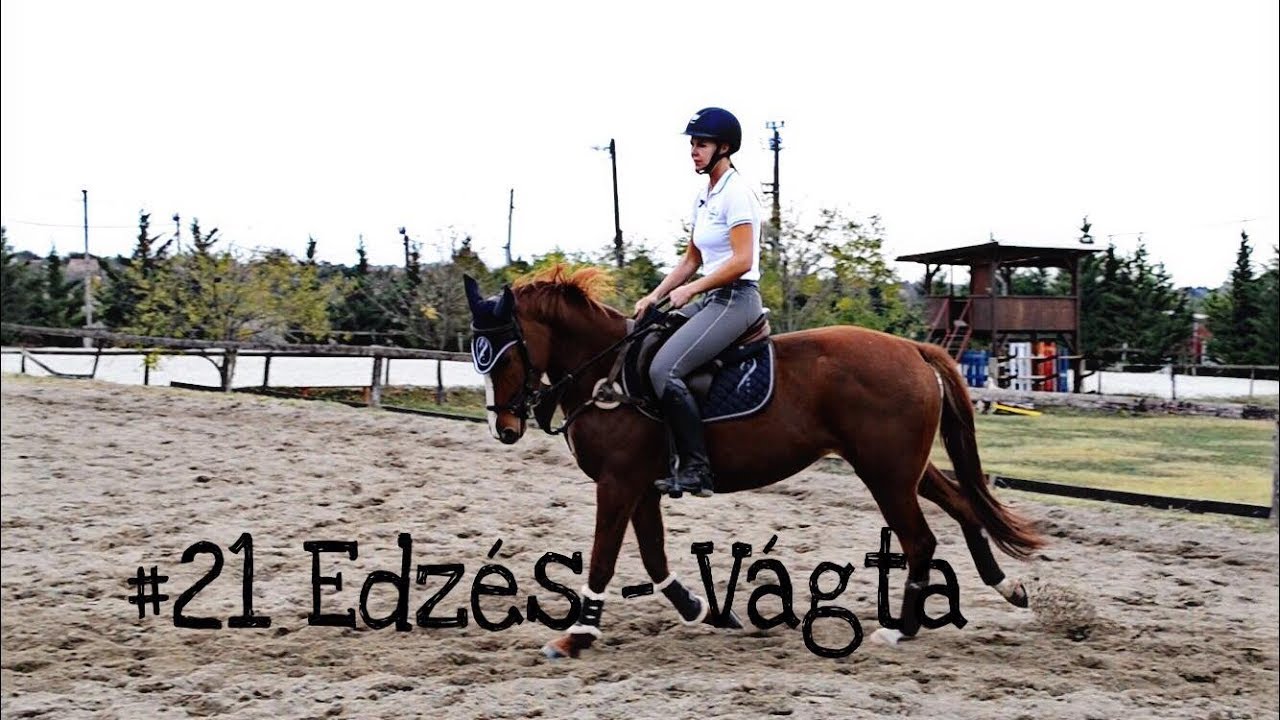 Edzés - VÁGTA