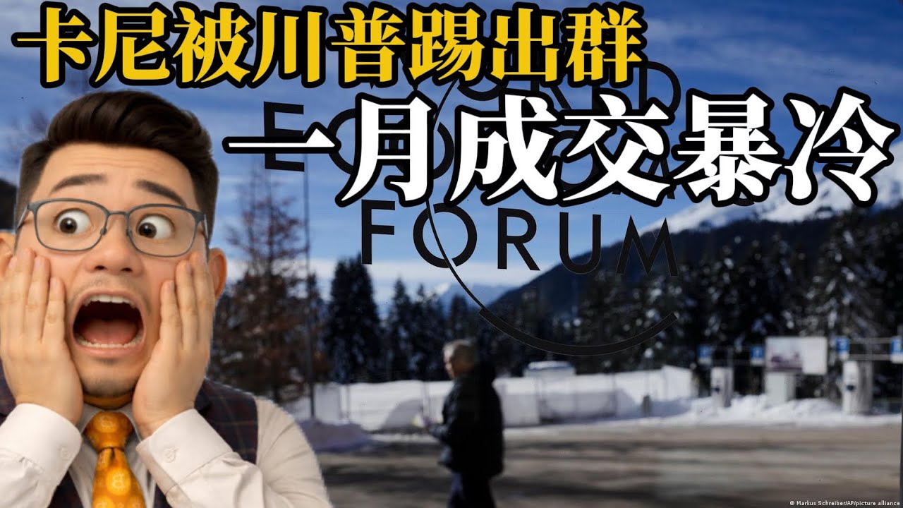 卡尼在达沃斯论坛演讲后被打击报复，加拿大房地产一月交易遇冷《投资数据与金融时评2026》