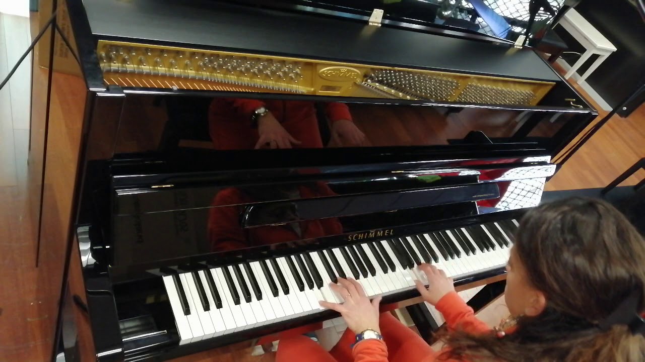 Schimmel C116