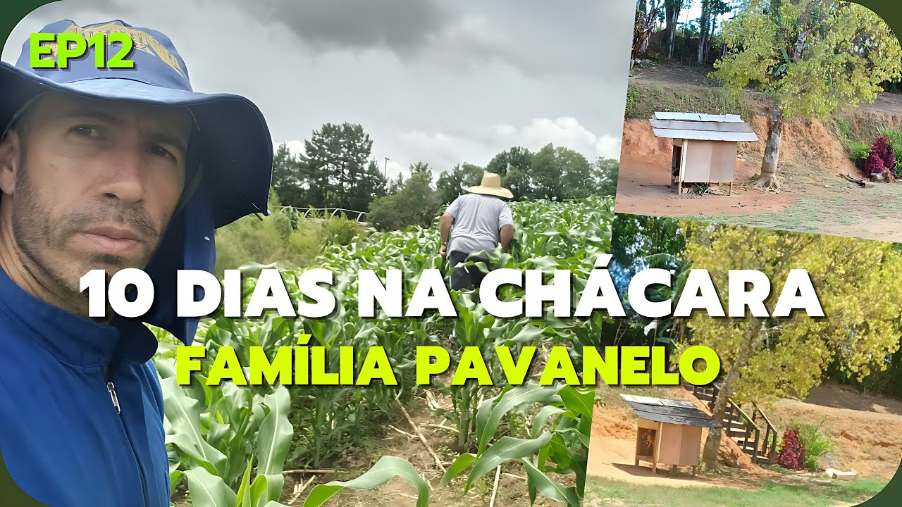 COMO FOI PASSAR 10 DIAS SOZINHO na CHÁCARA e o QUE FIZ? Família Pavanelo