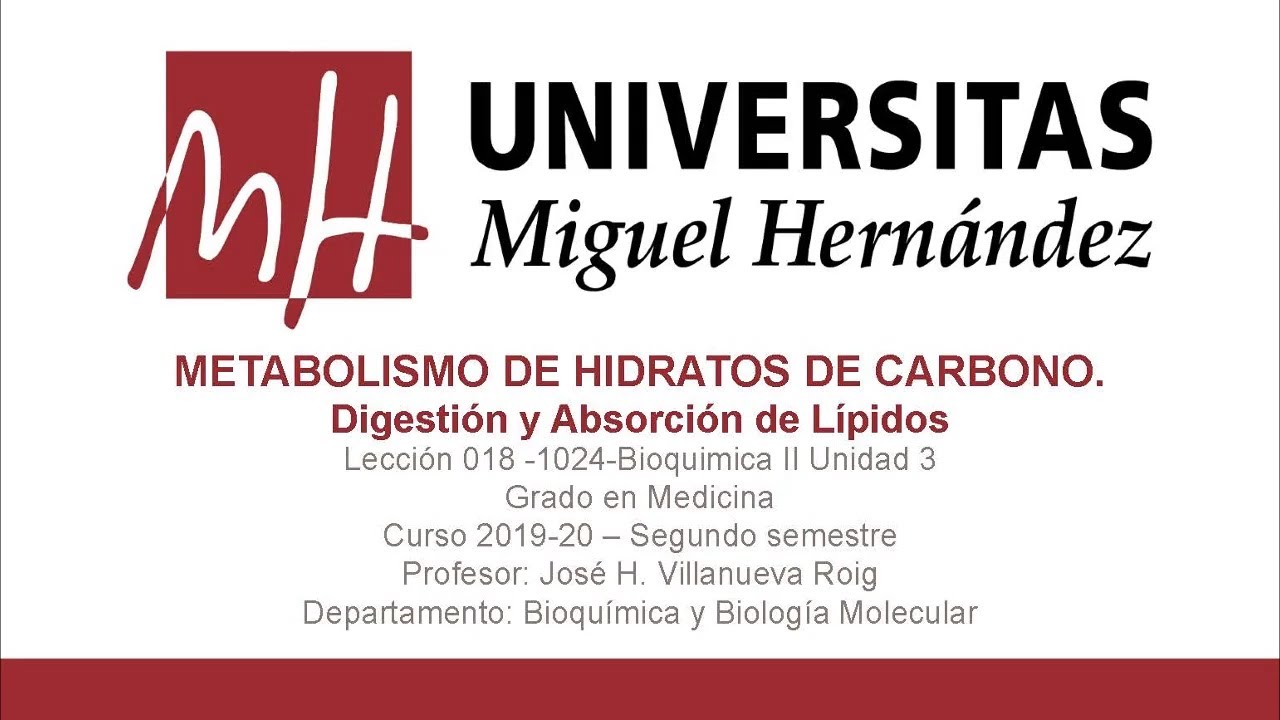 Lecc 018 Digestión y Absorción de Lípidos (Umh1024 2019-20)