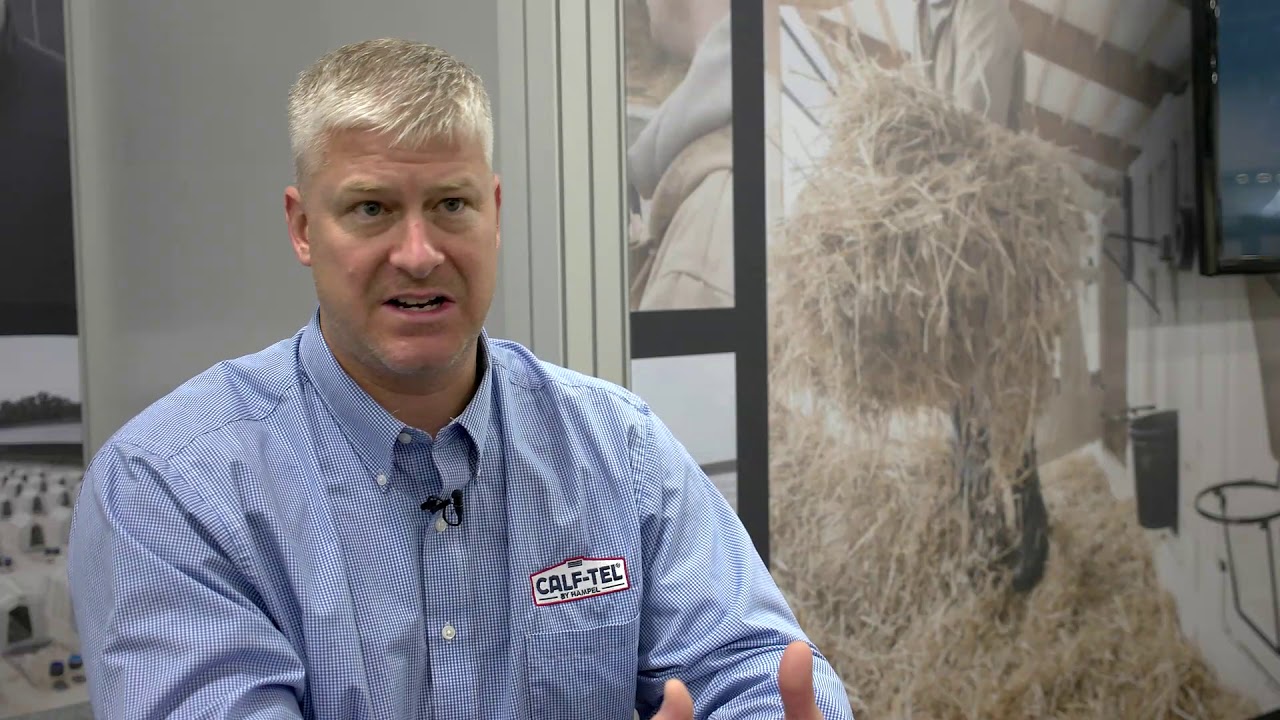 Calf Tel Live From World Dairy Expo 2019