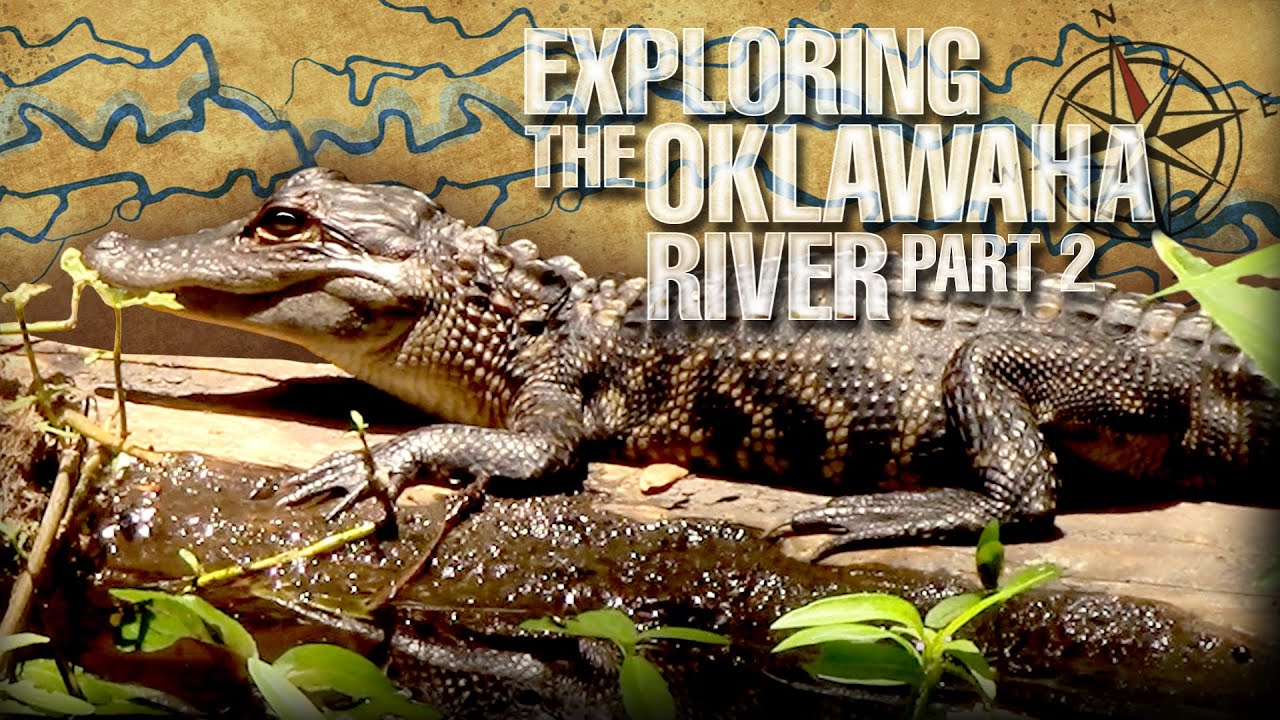The Oklawaha River -Part 2-