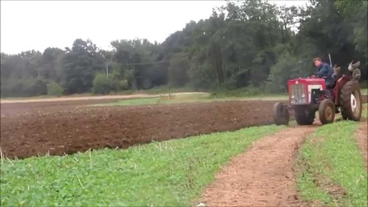 International 434 & Massey Ferguson 797 plough.