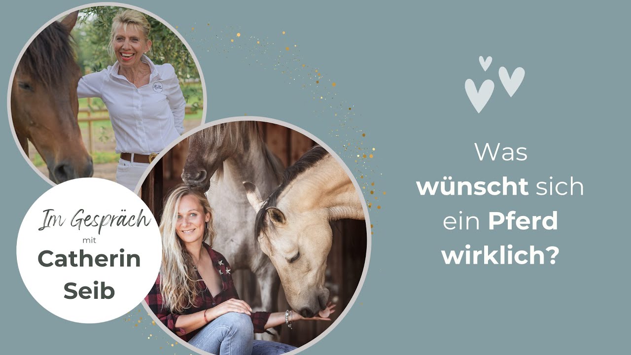 Raidho Gespräche mit Catherin Seib (Pferde Verstehen)