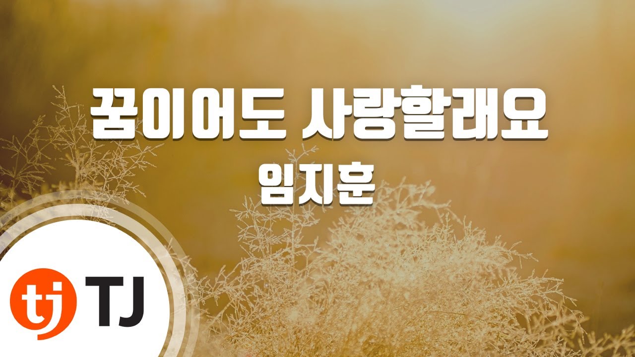 [TJ노래방] 꿈이어도사랑할래요 - 임지훈 / TJ Karaoke