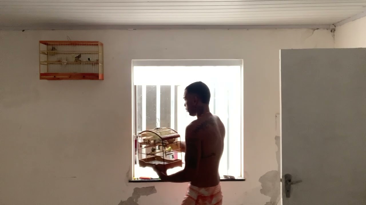 Reprodução de Coleiro não é fácil ! 