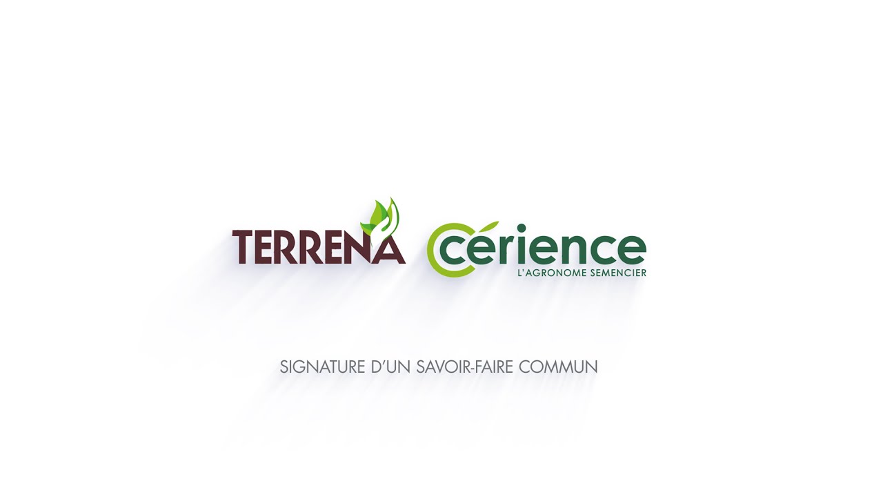 Terrena, Cérience : parlons maïs ! 🌽