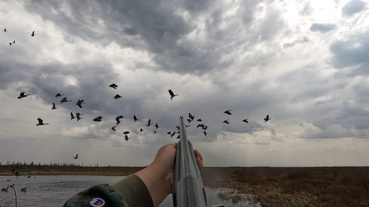 Spring Goose Hunt 2023, In James Bay