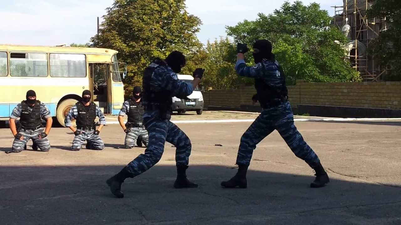 Беркут Херсон