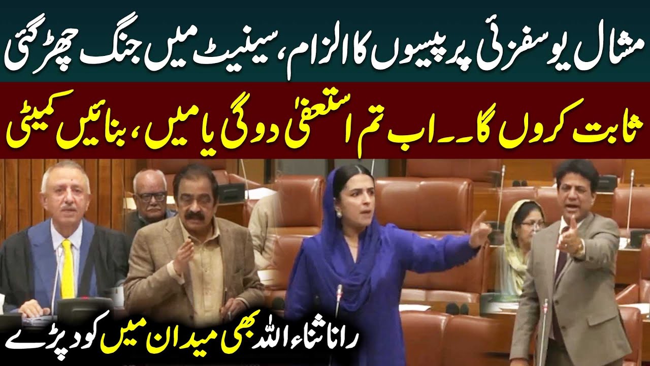 Mashal Yousafzai Fight in Senate | Rana Sanaullah in Action | Public News