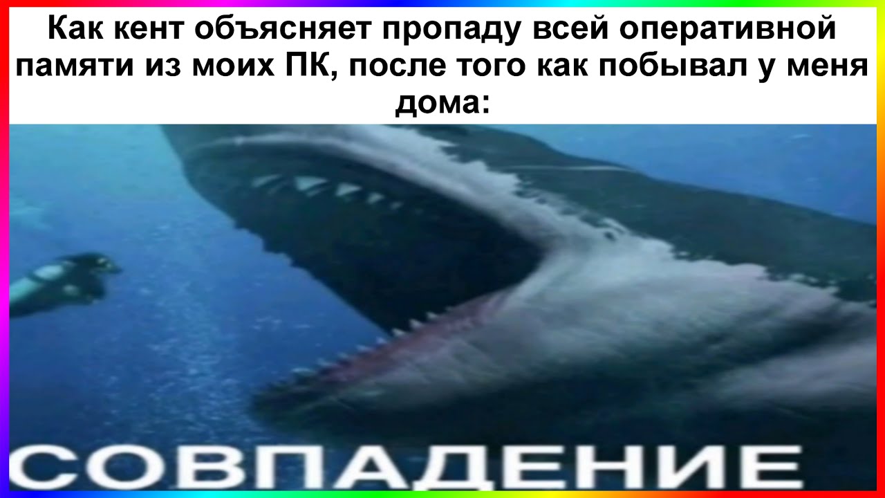тик ток вор | подборка мемов