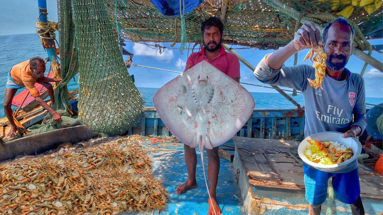 💢MANDAPAM TRAWLER JACKPOT‼️😱 | HUGE PRAWNS 🦐 & BIG STINGRAY HAUL 🐟 | DEEP SEA FISHING