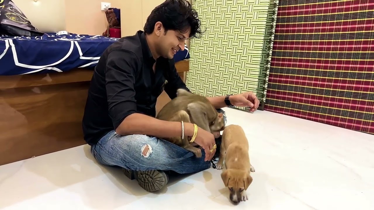 Nikki ka new dost ghar aaya 