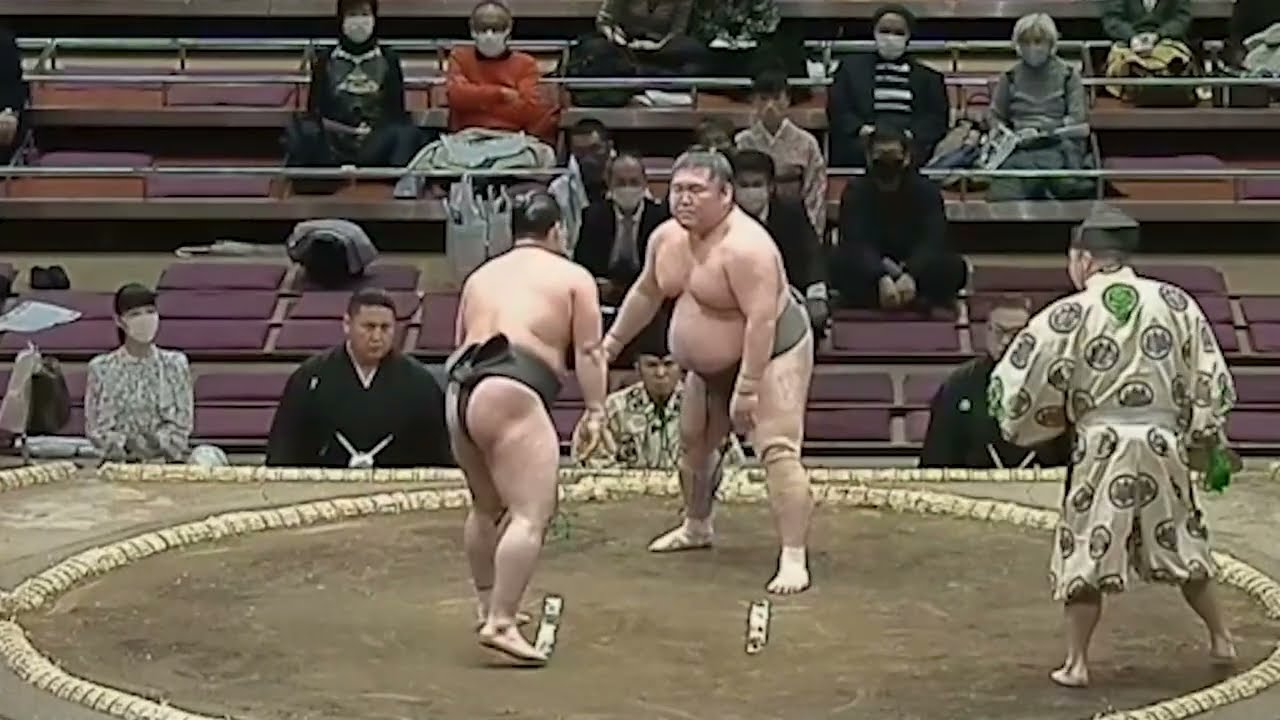 sumo low div fights that made me fall off my chair