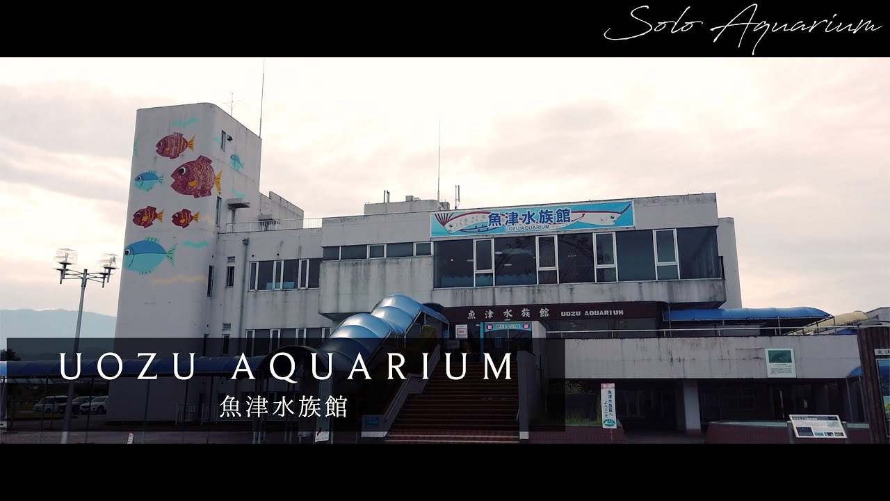 魚津水族館のススメ１