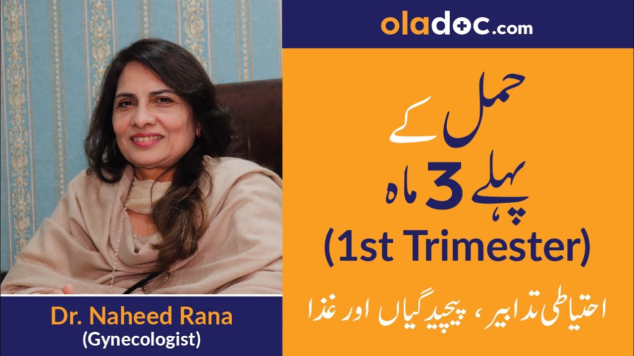 First Trimester of Pregnancy Tips (Urdu/Hindi) | Hamal ke pehle teen maah | Top Gynecologist | SM1