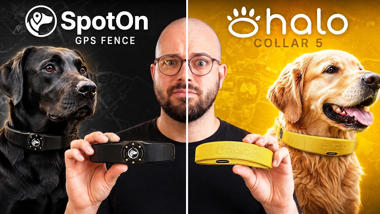 SpotOn против Halo Collar 5: я протестировал оба &mdash; вот победитель!