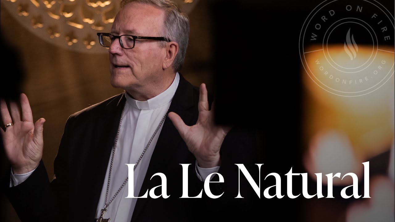La Ley Natural — Sermón del Domingo del obispo Robert Barron