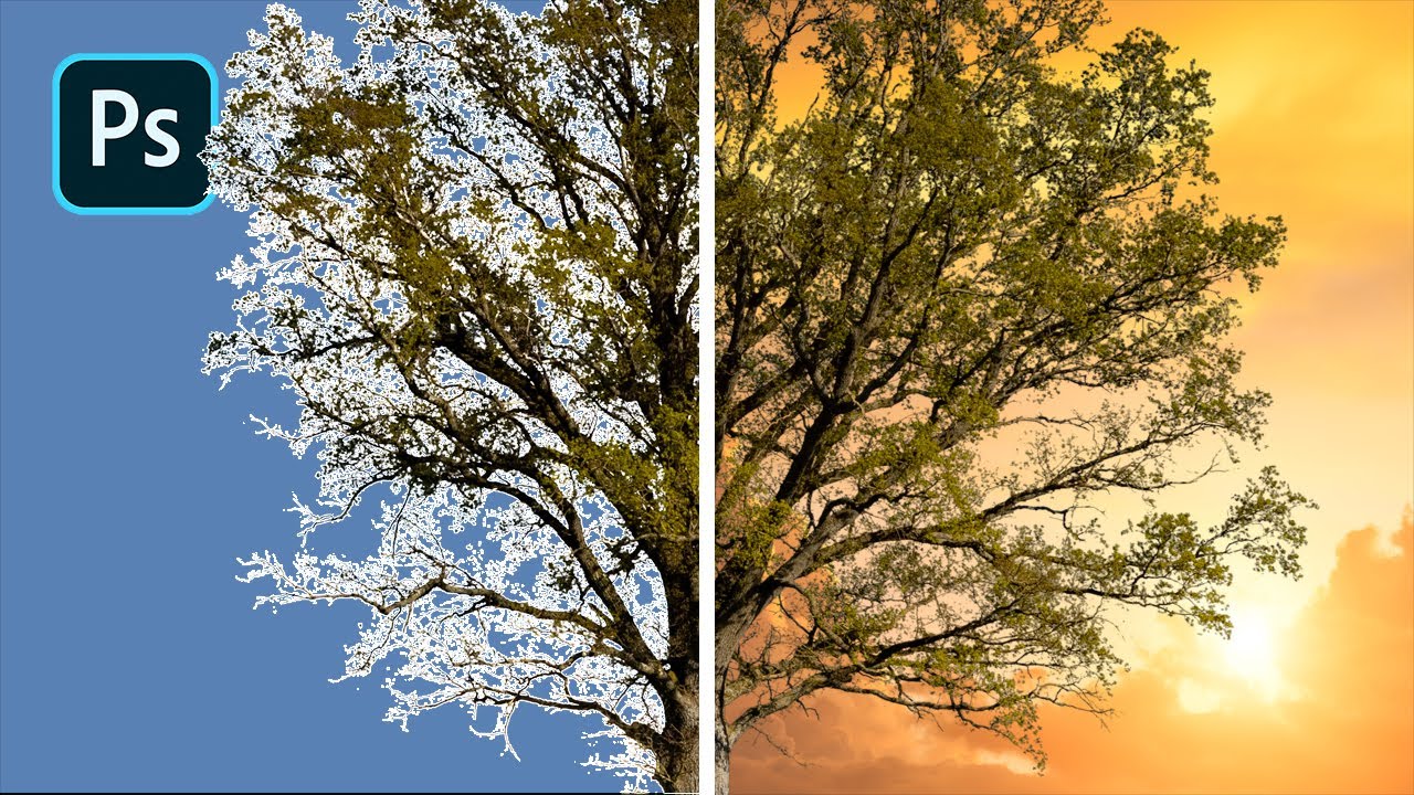 НОВЫЙ (ЛУЧШИЙ) способ вырезать деревья в Photoshop