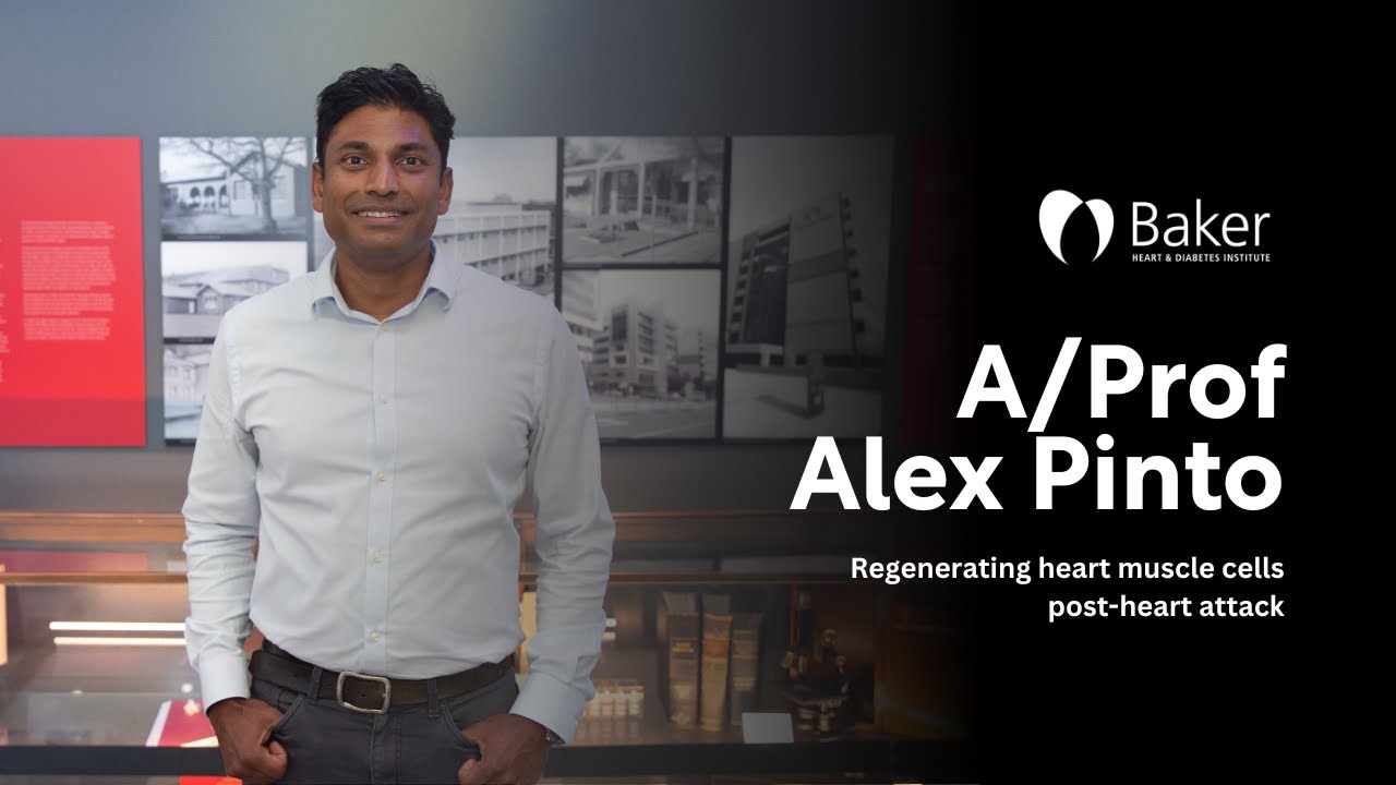 A/Prof Alex Pinto shares how we are rebuilding hearts | Baker Institute