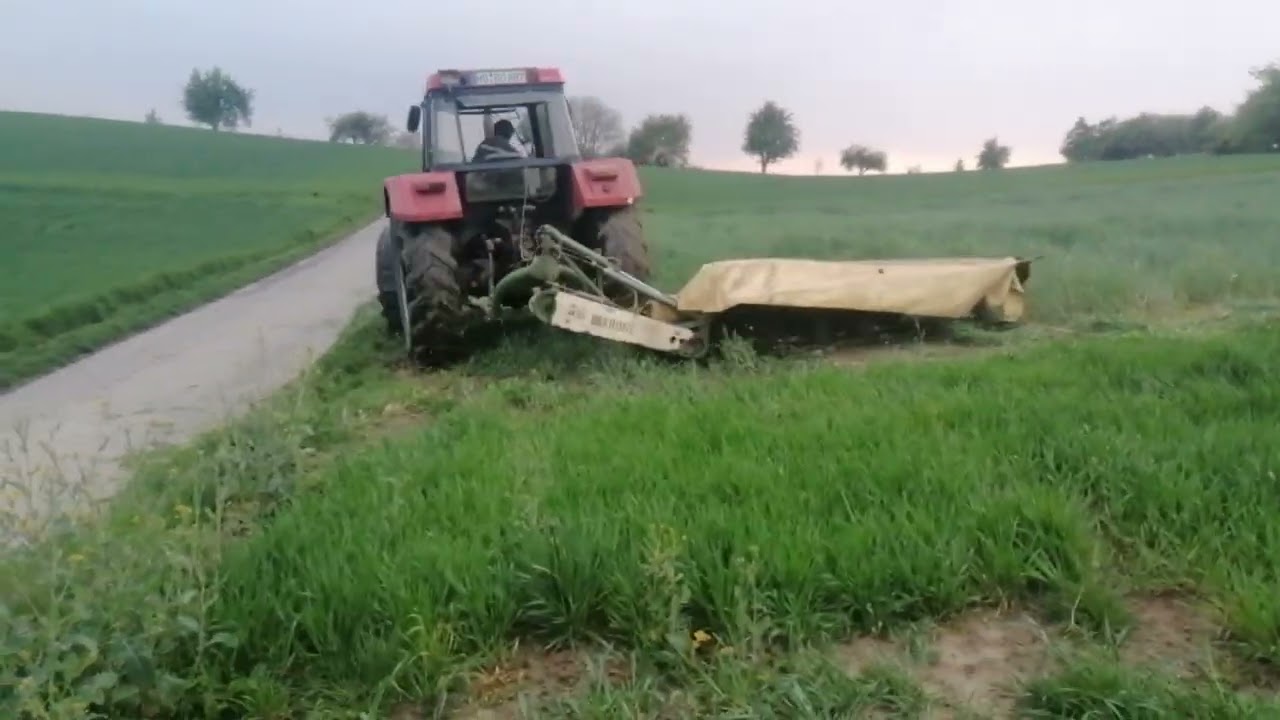 Farmvlog Futter M&auml;hen