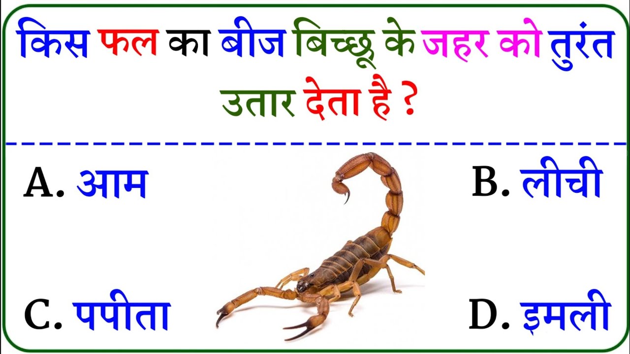 Gk Questions And Answers || Gk Quiz || Gk ke sawal || General Knowledge || Gk Questions In Hindi
