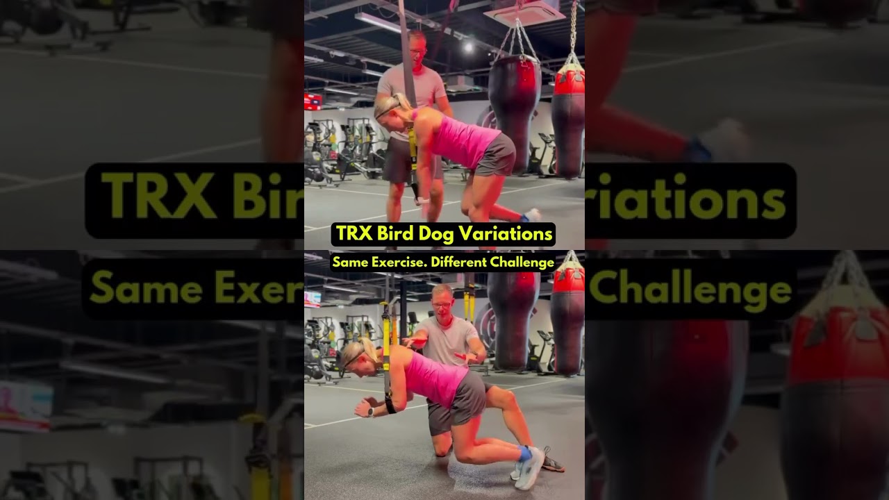 TRX Bird Dog Variations. Sam exercise. Different Challenge