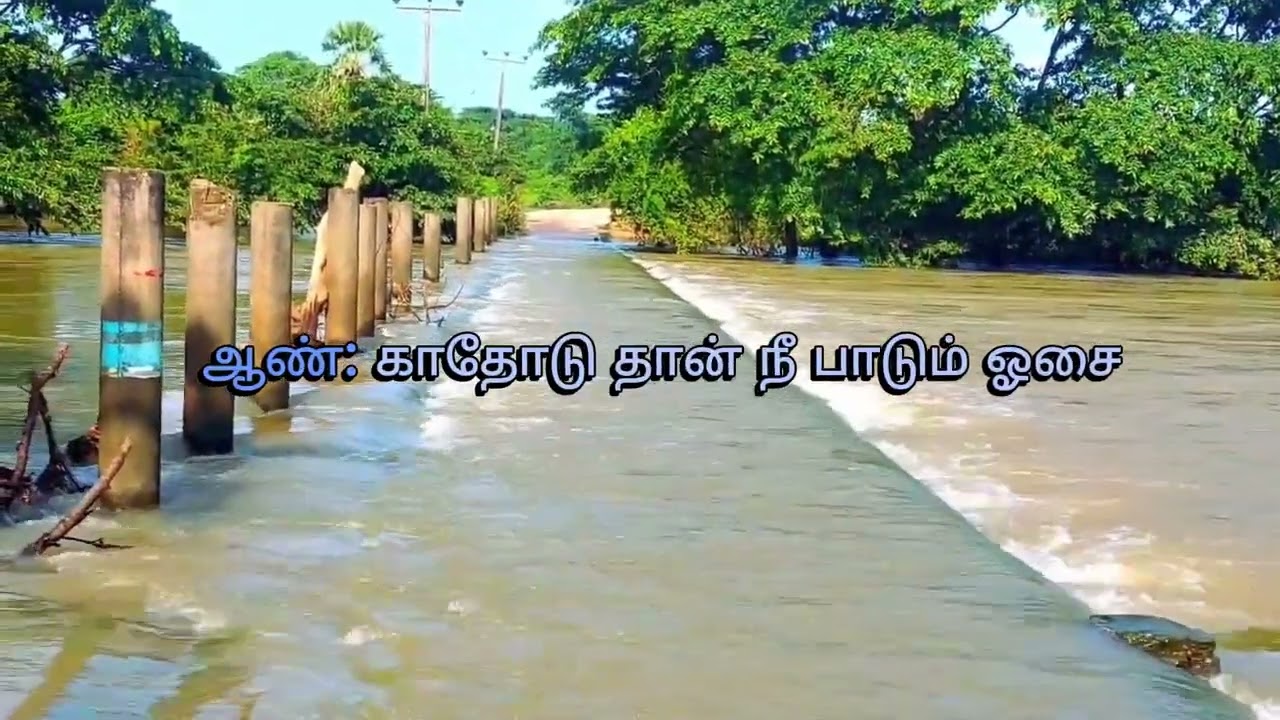 Santhana Kaatre - Thani Kaaddu Raja Karaoke with Tamil Lyrics