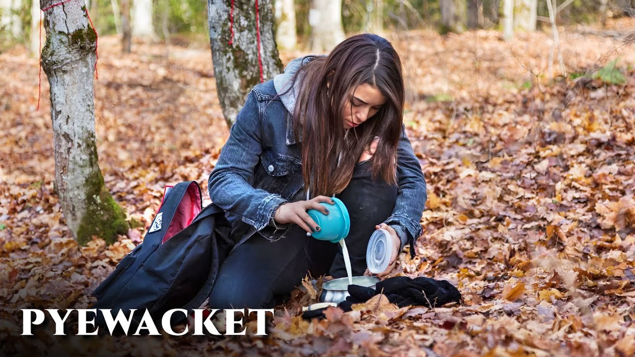 Pyewacket (2017) Movie Explained in Hindi/Urdu Story Summarized हिन्दी