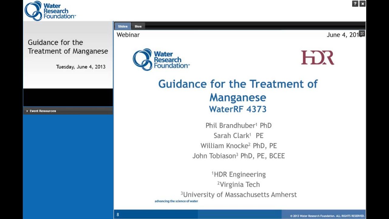 Guidance for the Treatment of Manganese