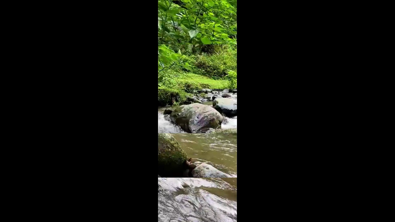 Unwind and relax with peaceful river ambience in forest daylight providing deeper sleep comfort