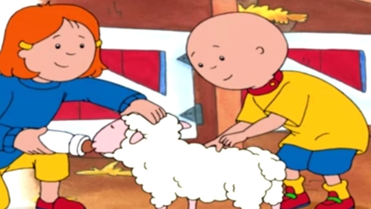 Caillou en Español | Caillou Tenía un Corderito | Dibujos Infantiles | Nueva Temporada