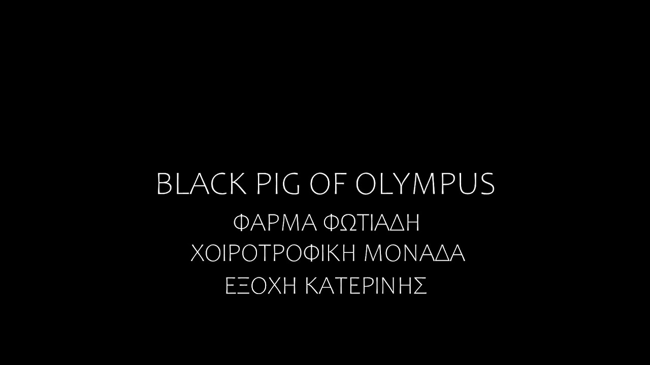 Ημιεκτατική χοιροτροφία | περιοχή Εξοχής Κατερίνης
