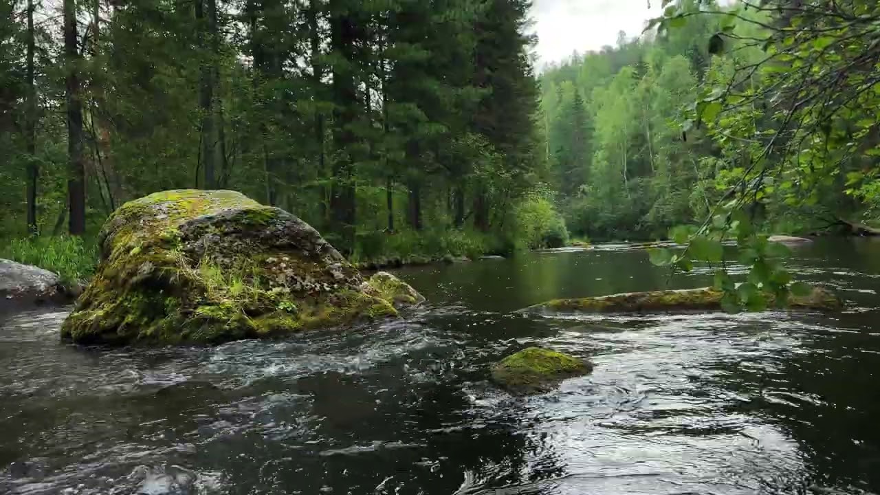 Serene Morning at River: A Mossy Boulder Breaks Free | Nature Sounds