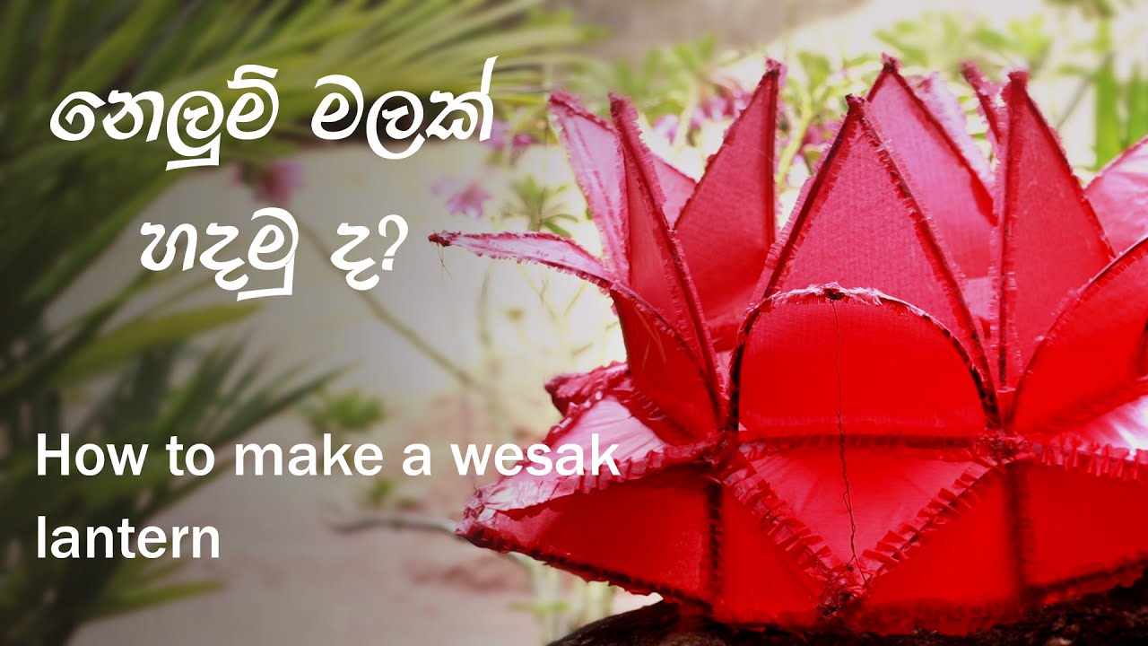 නෙලුම් මලක් හදමු ද? | How to make a wesak lantern | Shall we make a lotus flower? | 2021