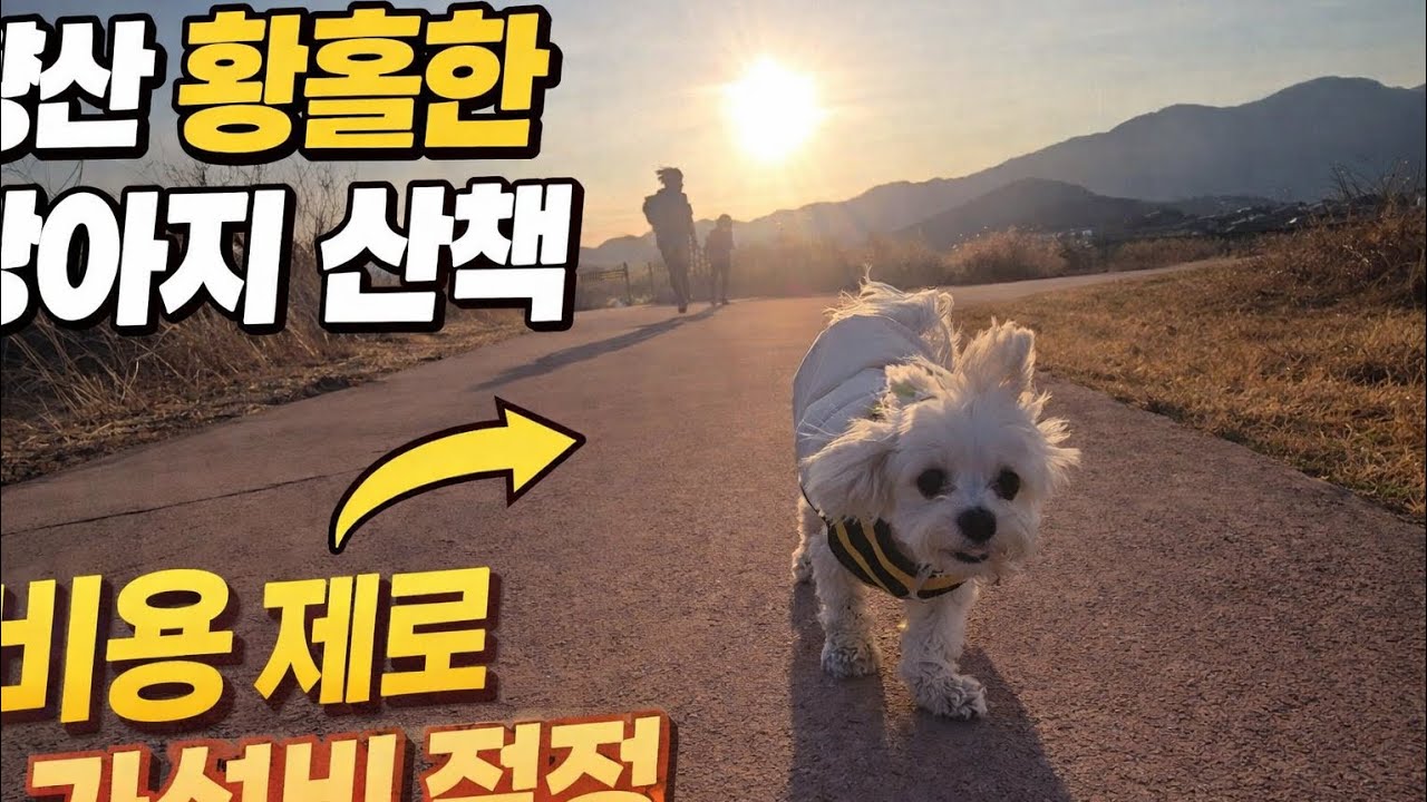 양산 강아지 환장하는 산책 코스 주말 돈쓰지말고 여기와서 즐기세요.