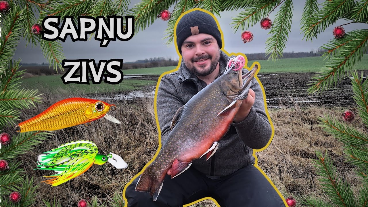 Tomēr to izdarīju! Sapņu zivs, bērnu prieks un foreļu cope uz čaterbeitiem!