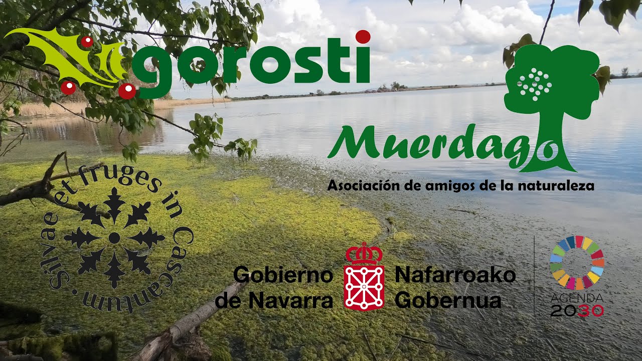 Inventario botánico en Barillas - Laguna de Lor 13/04/2025