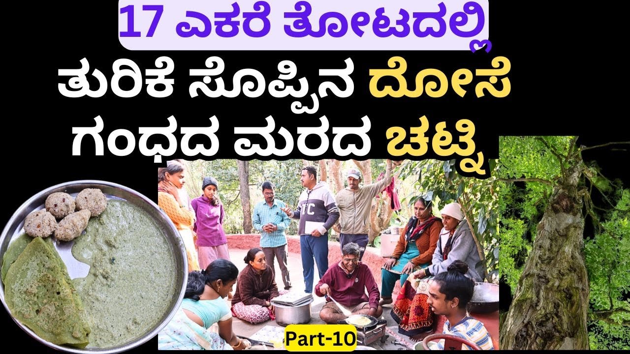 ಮೂಲವ್ಯಾದಿ,ಗ್ಯಾಂಗ್ರಿನ್ , ಬಿಪಿ ಶುಗರ್ ಗಿಲ್ಲಿ  ಕಸದ ಸೊಪ್ಪು ಗಳಿಂದ ಪರಿಹಾರ!Part-9|