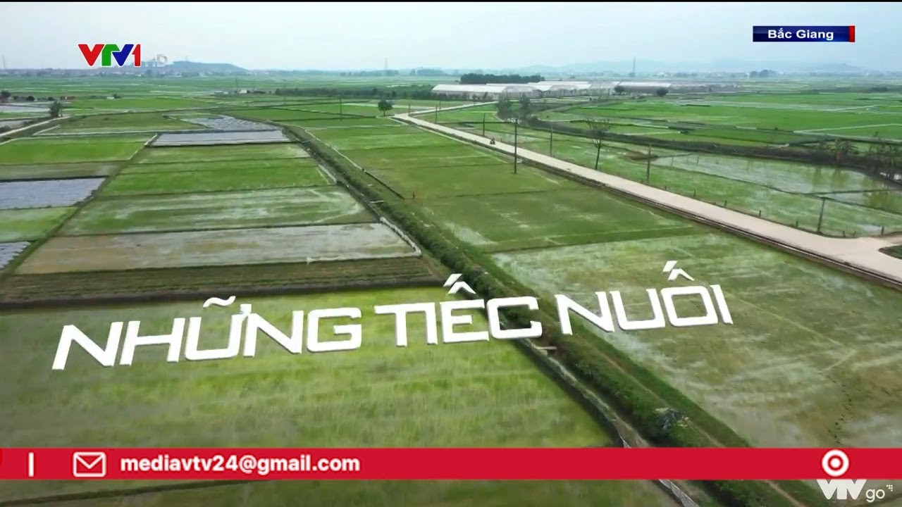 Vui buồn sau những cơn sốt đất ở l&agrave;ng qu&ecirc; | VTV24